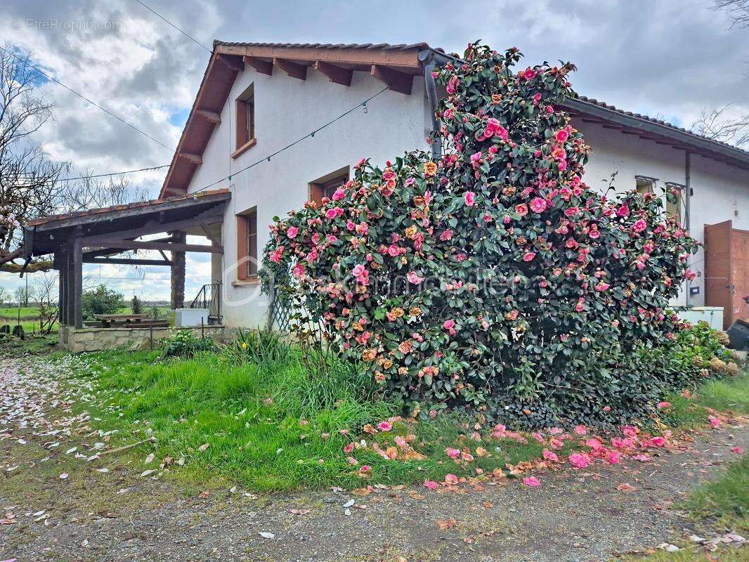 Maison à CASTELSARRASIN