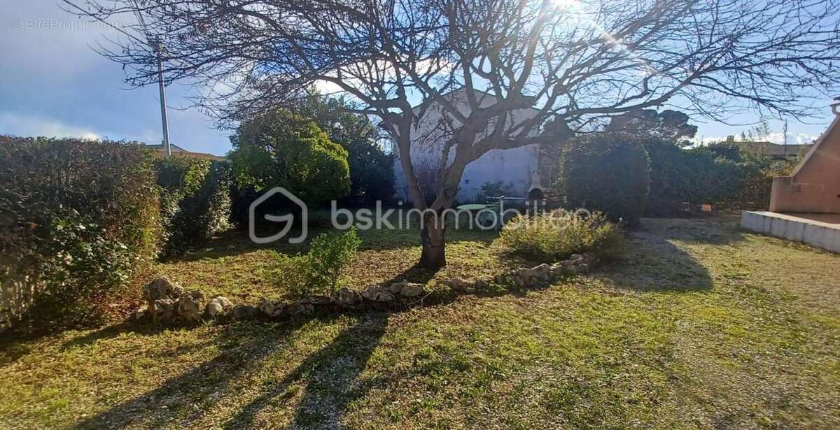 Maison à SAINT-ANDRE-DE-SANGONIS