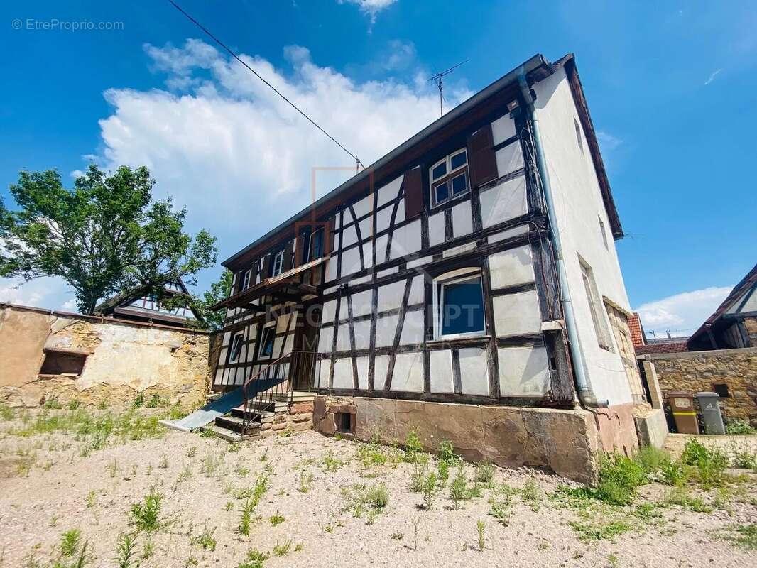 Appartement à MOMMENHEIM