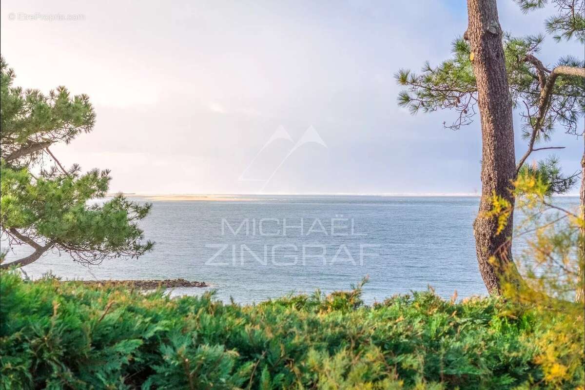 Maison à LE BOUSCAT