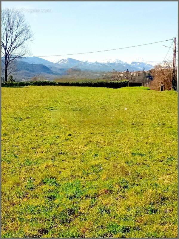 Terrain à AUSSON