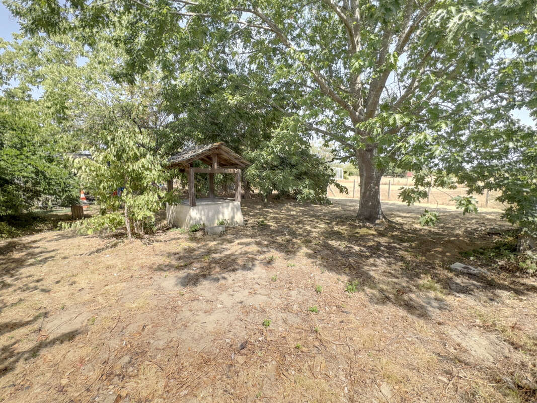Soual a deux pas du centre - photo 14