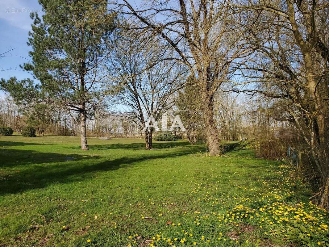 Maison à PAIZAY-NAUDOUIN-EMBOURIE