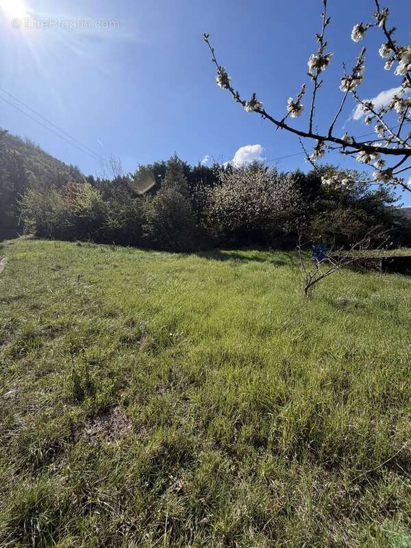 Terrain 820 m² à Coux  - photo 5