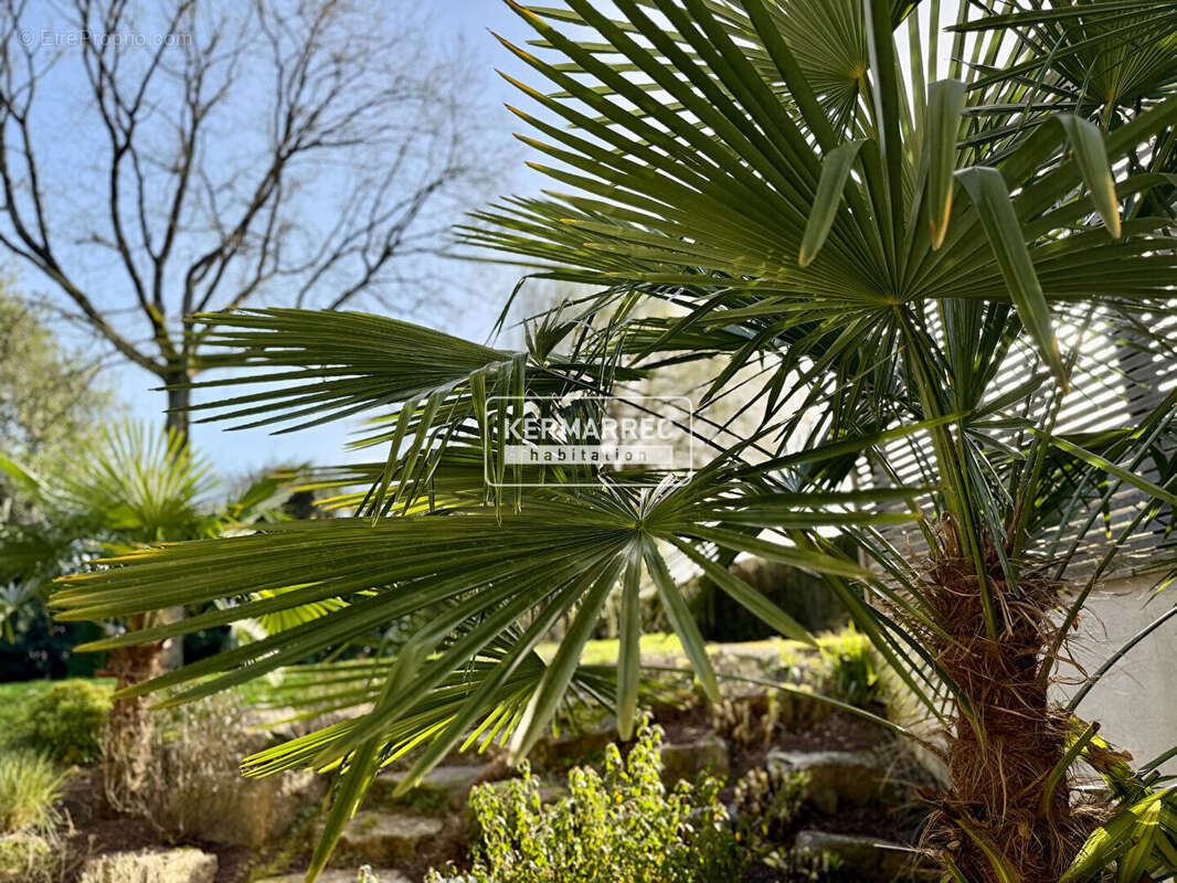 Maison Saint Gregoire - photo 15
