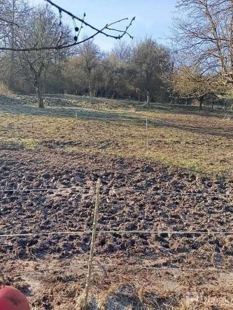 Maison à OBERGAILBACH