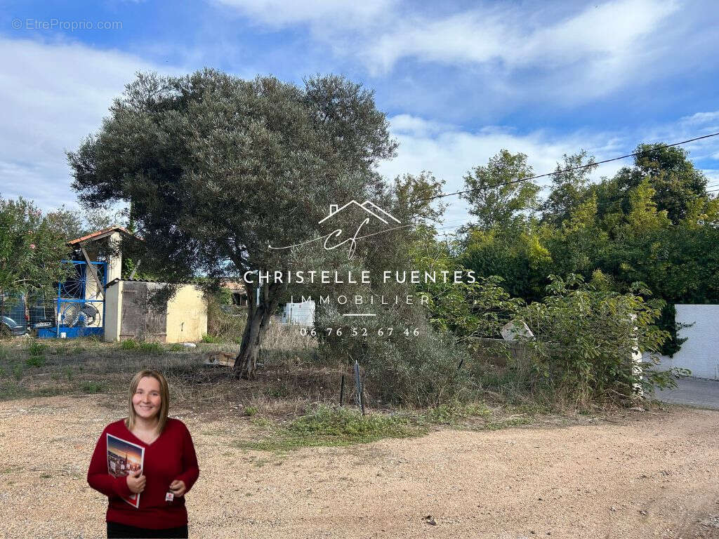 Terrain à MARSEILLAN