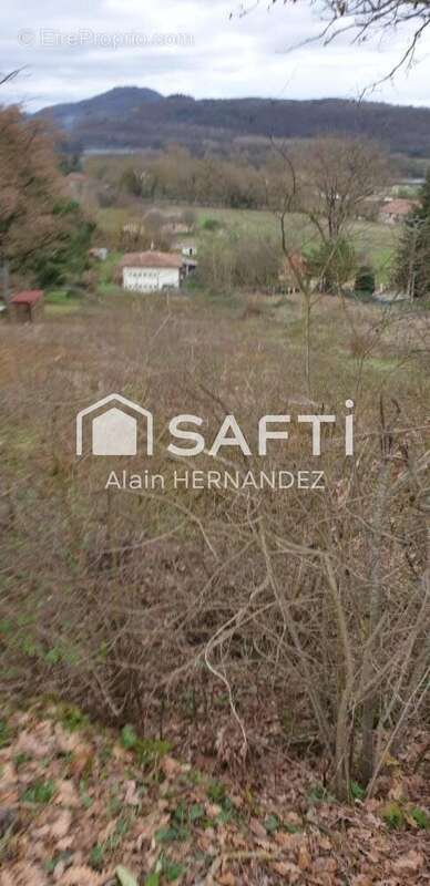 Terrain 1760 m² à Boussens  - photo 2
