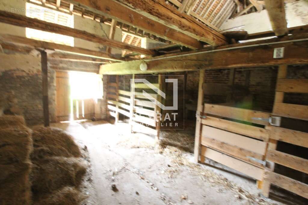 Ferme bressane - photo 21