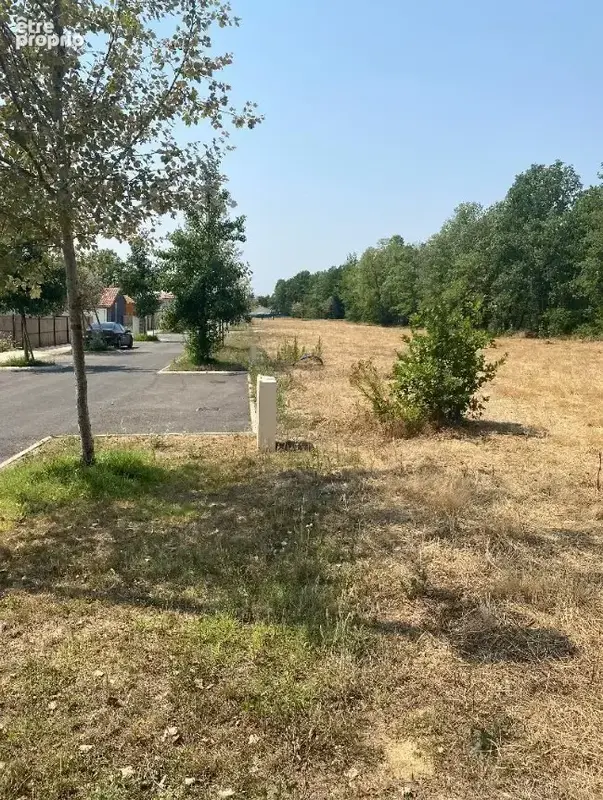 Terrain 650 m² à vendre à Lacourt-Saint-Pierre (82290) - photo 5