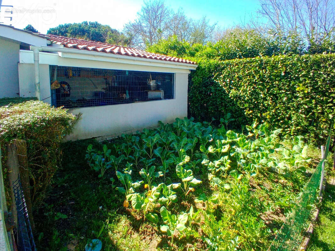 Maison à SAINTE-EULALIE