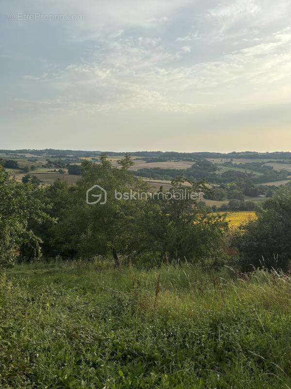 Terrain à AUCH