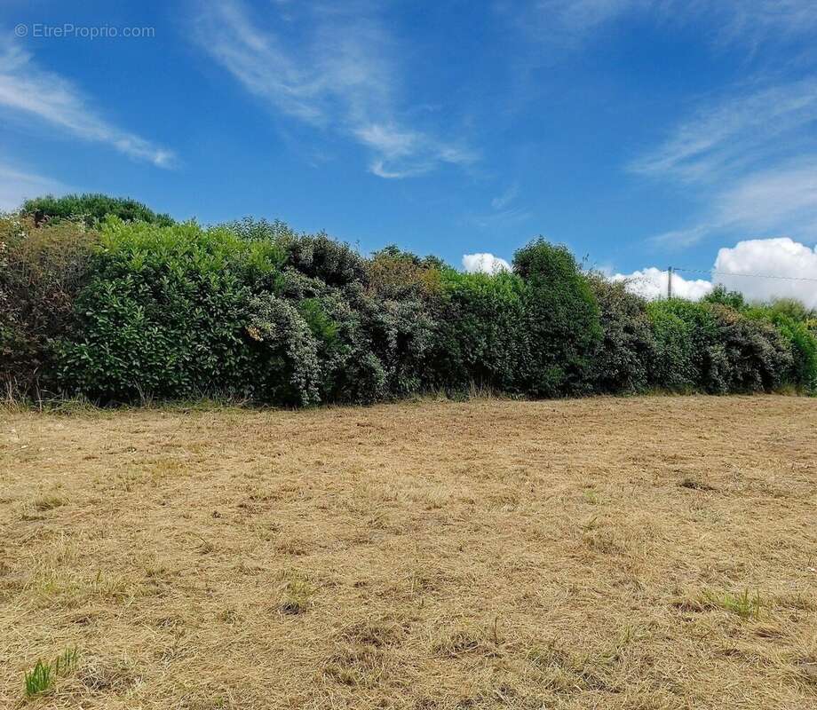 Terrain à SAINT-LON-LES-MINES