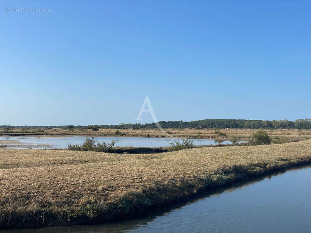 Terrain à LES SABLES-D&#039;OLONNE