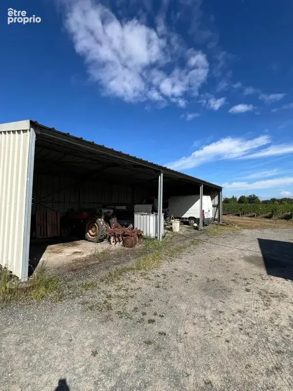 Ancienne Propriété Viticole - photo 16