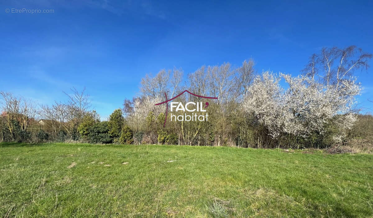 Terrain à LEFOREST