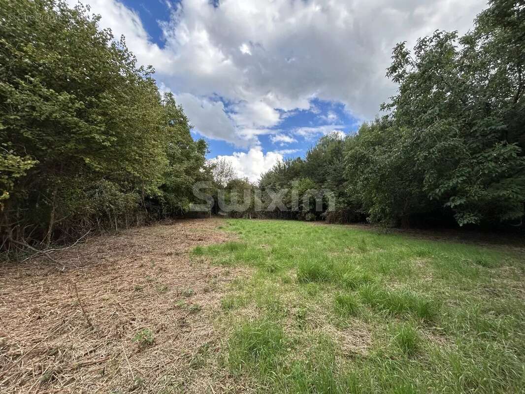 Terrain à QUARRE-LES-TOMBES