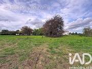 Photo 1 - Terrain à PEYSSIES