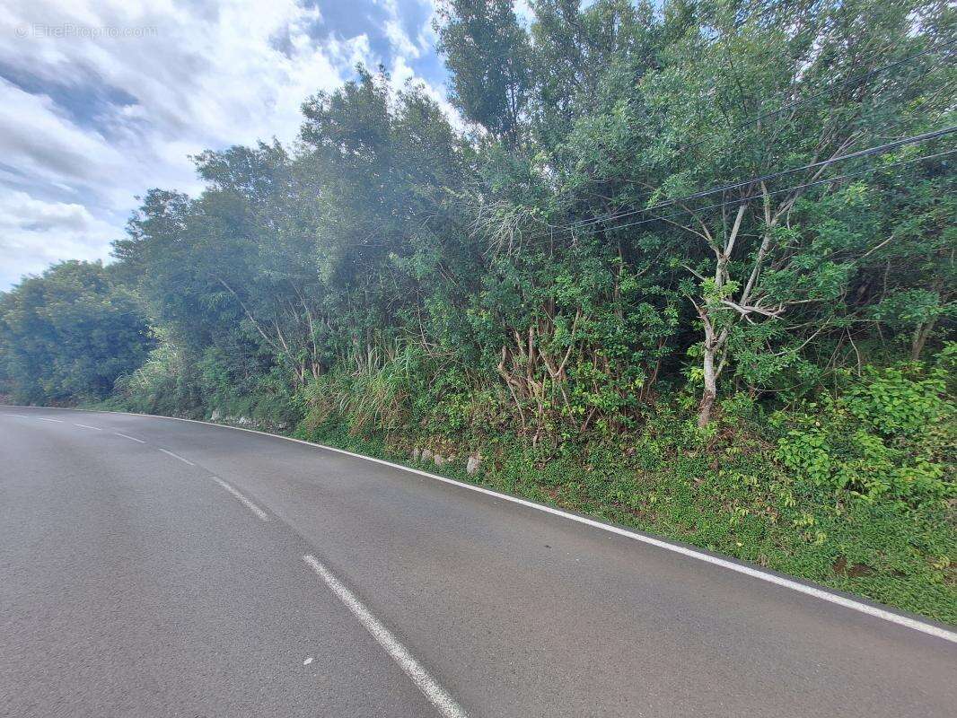 Terrain à PETITE-ILE