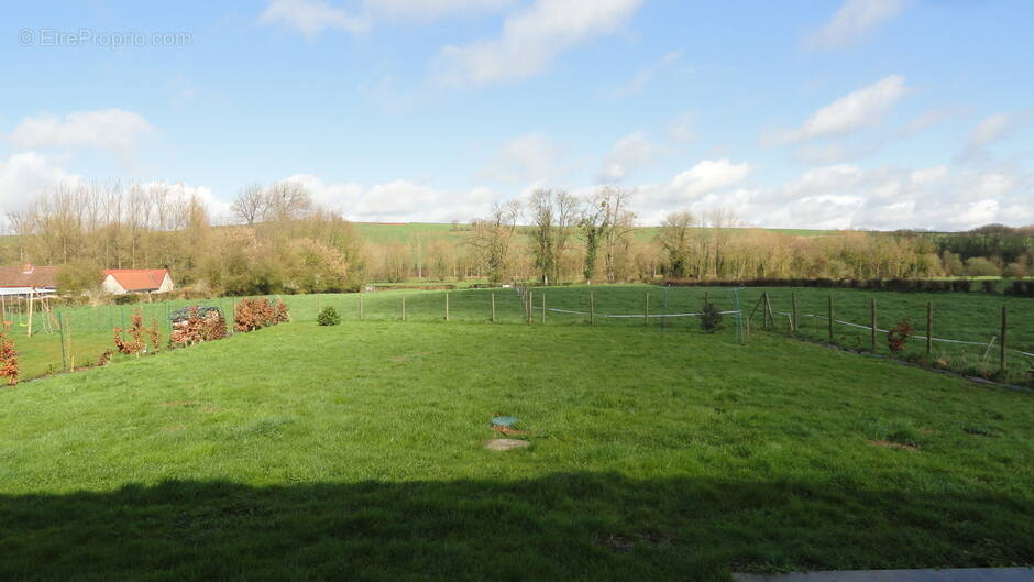 Terrain à CONTEVILLE