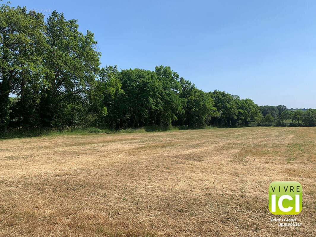 Terrain à ROUANS