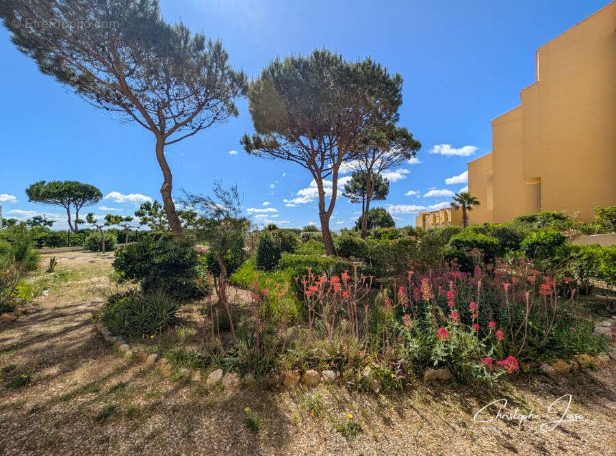 Appartement à LEUCATE