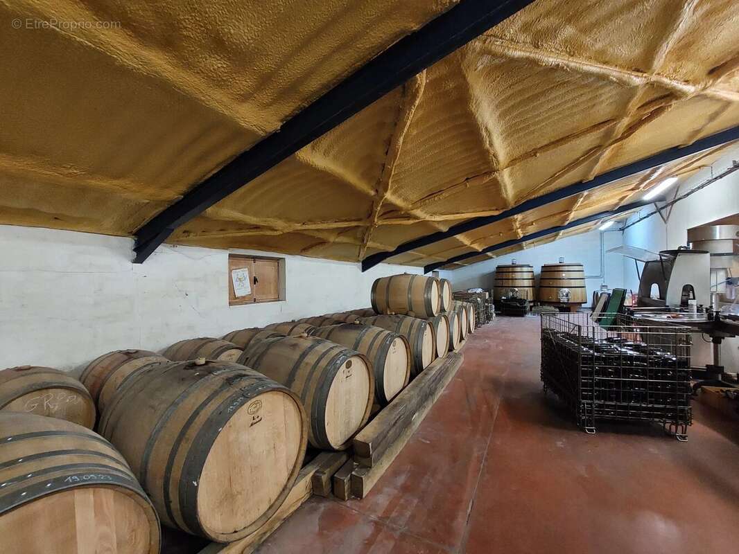 Domaine viticole bio près de Cordes-sur-Ciel - photo 12