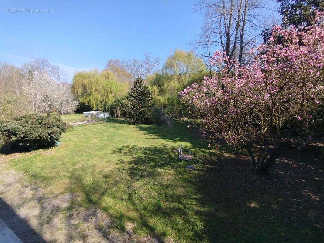 Maison 207 m² à Bosmie-L'aiguille  - photo 6