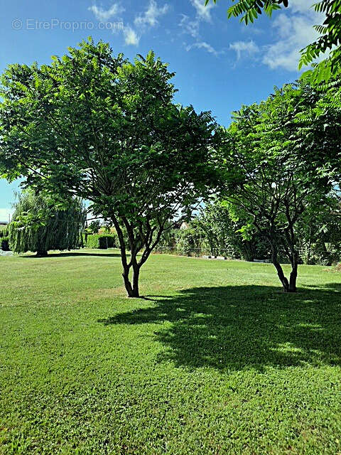 Terrain constructible 825 m2 SEICHEPREY 54470 - photo 4