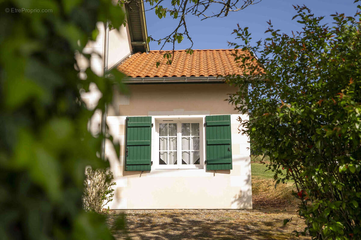 Photo 4 - Maison à SALIES-DE-BEARN