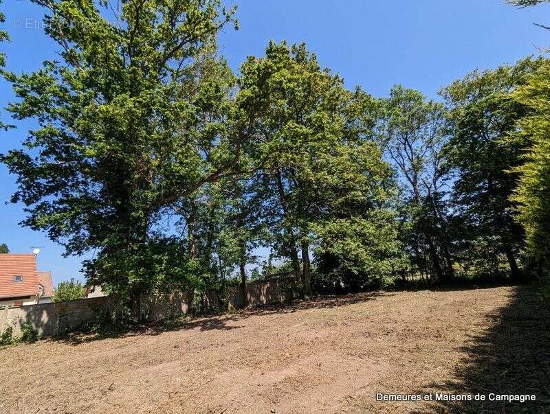 Terrain 1500 m² à Le Perray-En-Yvelines  - photo 2