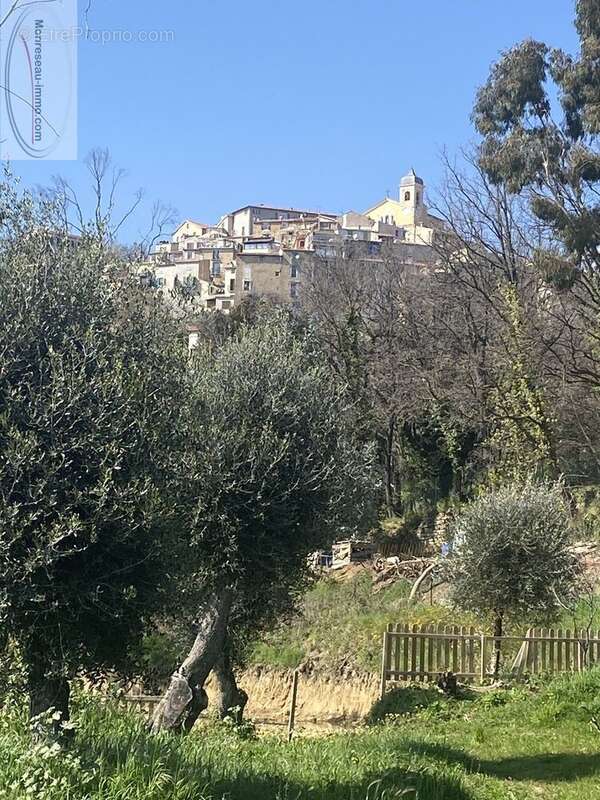 Terrain à BERRE-LES-ALPES