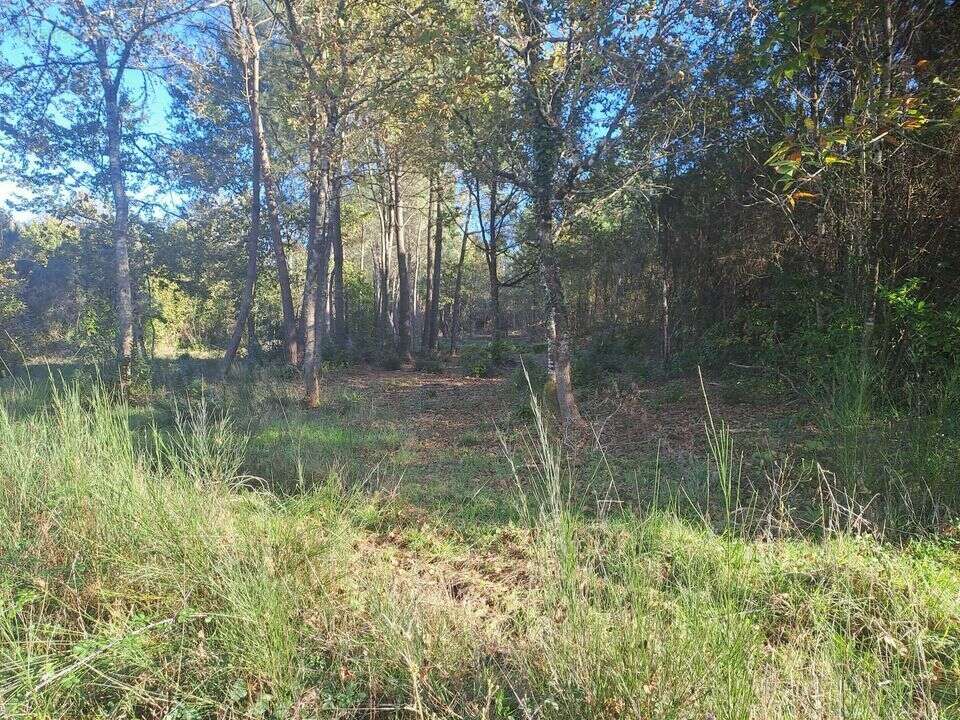 TERRAIN CONSTRUCTIBLE ST SAUVEUR ET FORESTIER - Terrain à SAINT-SAUVEUR