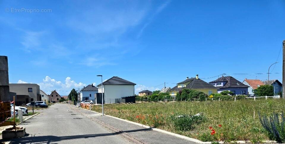 Terrain à DESSENHEIM