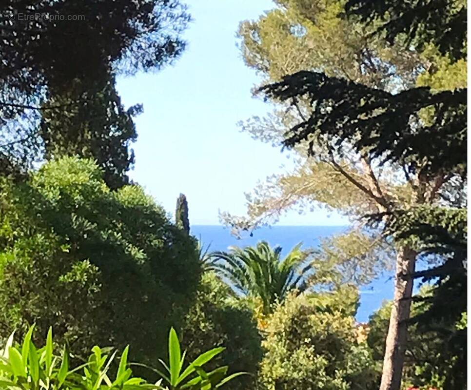 Terrain à LA CROIX-VALMER