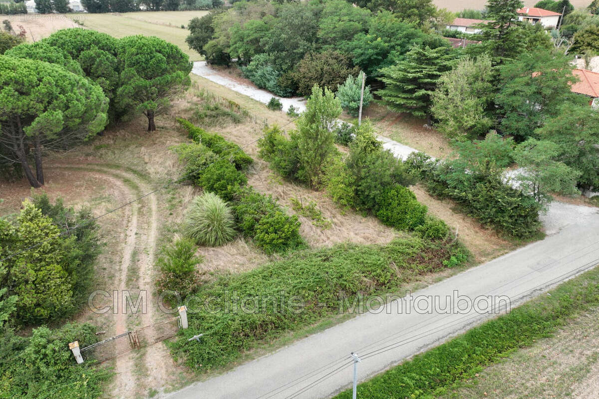 Terrain à Montgaillard-Lauragais  - photo 2