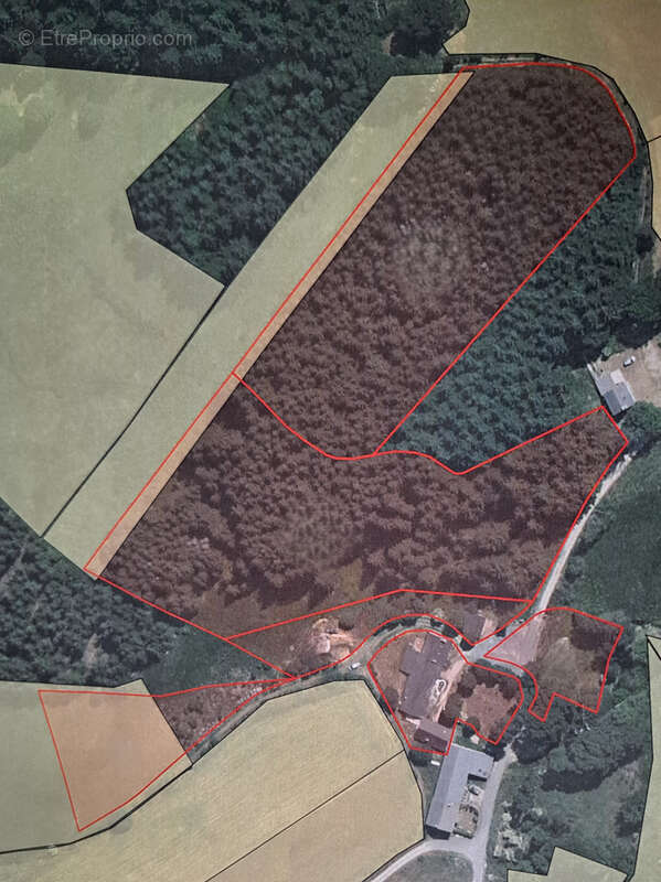 Maison à LE CHAMBON-SUR-LIGNON