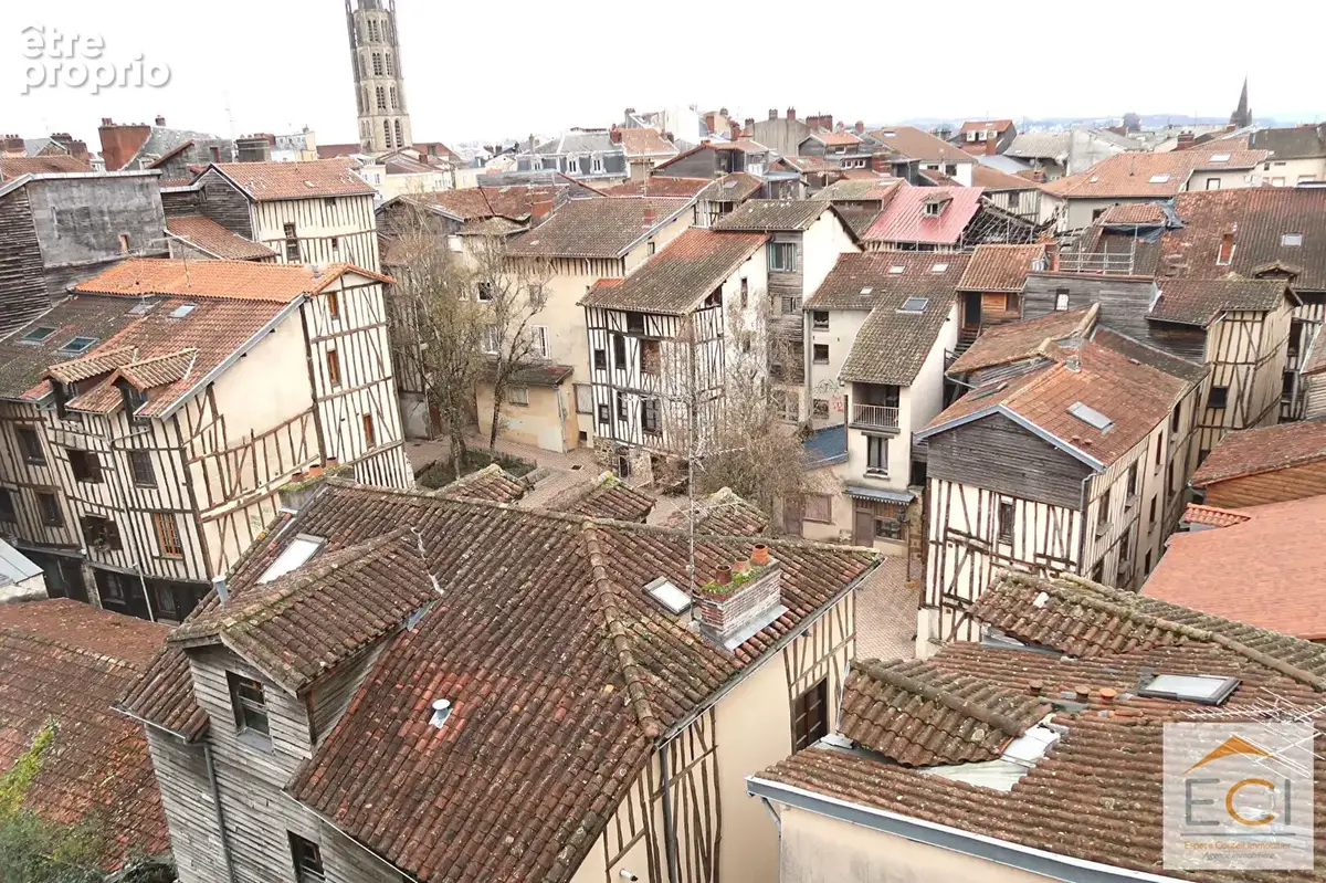 A VENDRE - Appartement duplex 3 chambres - Quartier Mairie - photo 16