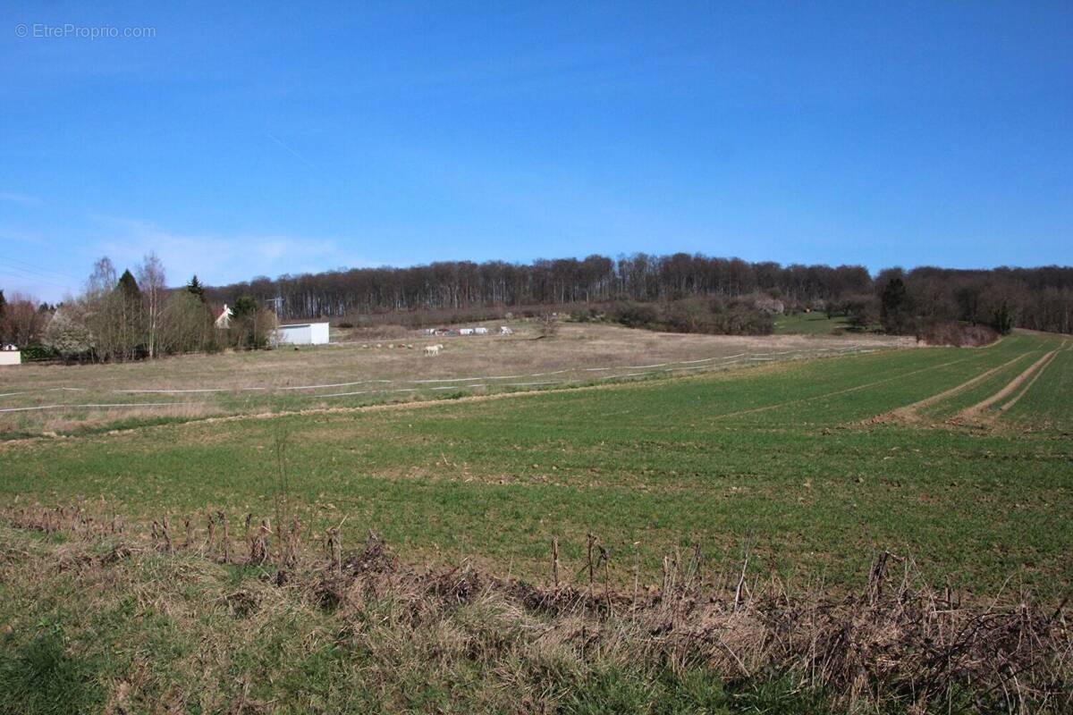 Terrain à VILLERS-COTTERETS