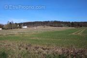 Terrain à VILLERS-COTTERETS