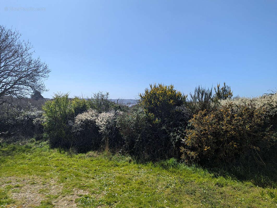 Maison à TREDREZ-LOCQUEMEAU