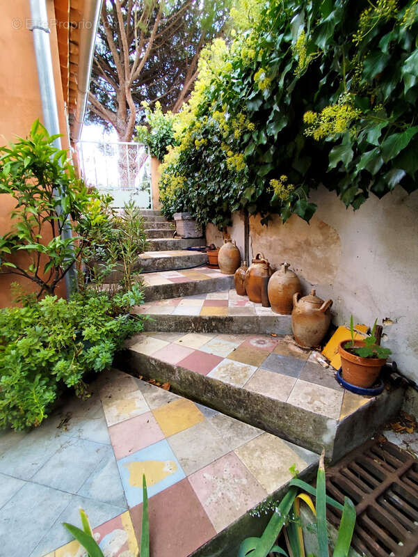 Maison à BORMES-LES-MIMOSAS