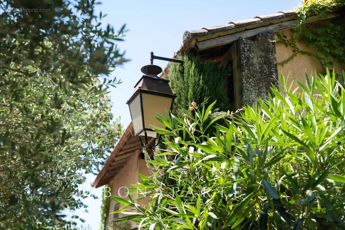 Mas provençal de caractère aux portes de saint-rémy-de-provence - photo 12