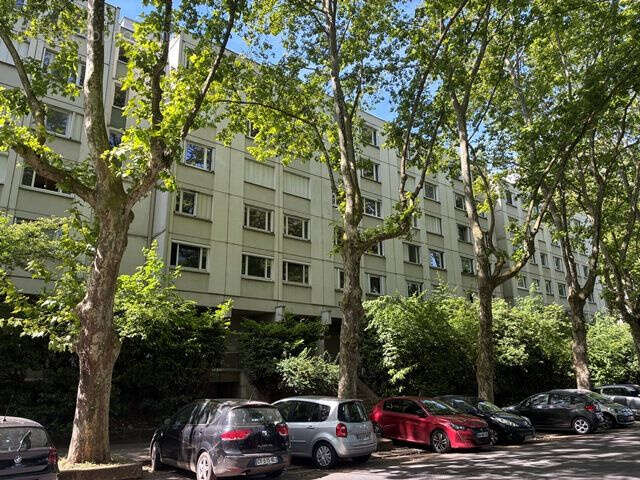 Tete d'or / la doua - photo 9