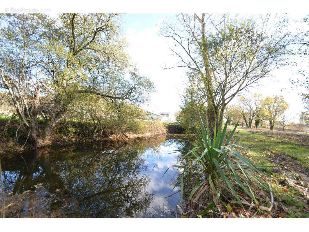Terrain à PORCHERES