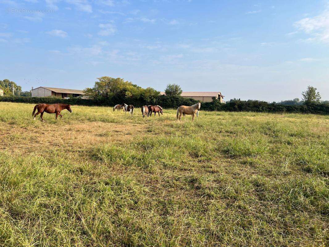 Maison à SAINT-MARTIN-DE-CRAU