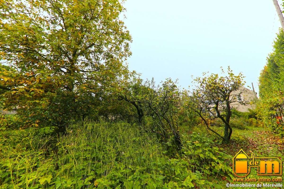 Terrain 818 m² à Mereville  - photo 2