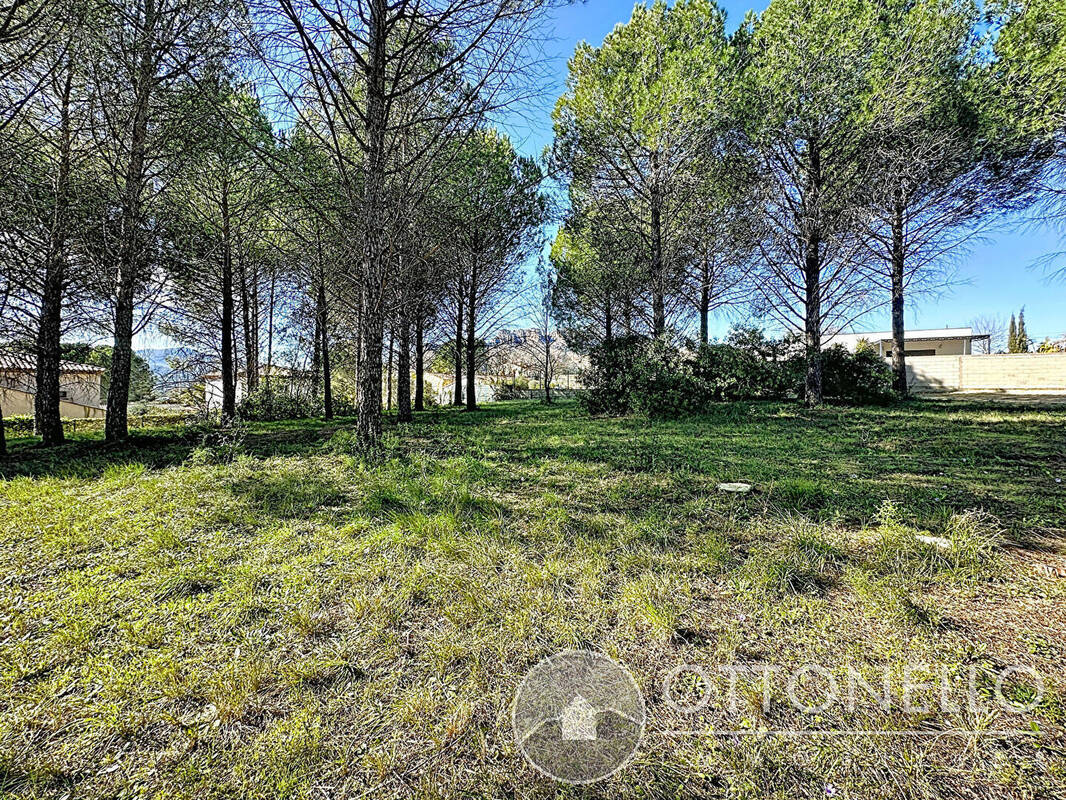 Terrain à ROQUEBRUNE-SUR-ARGENS
