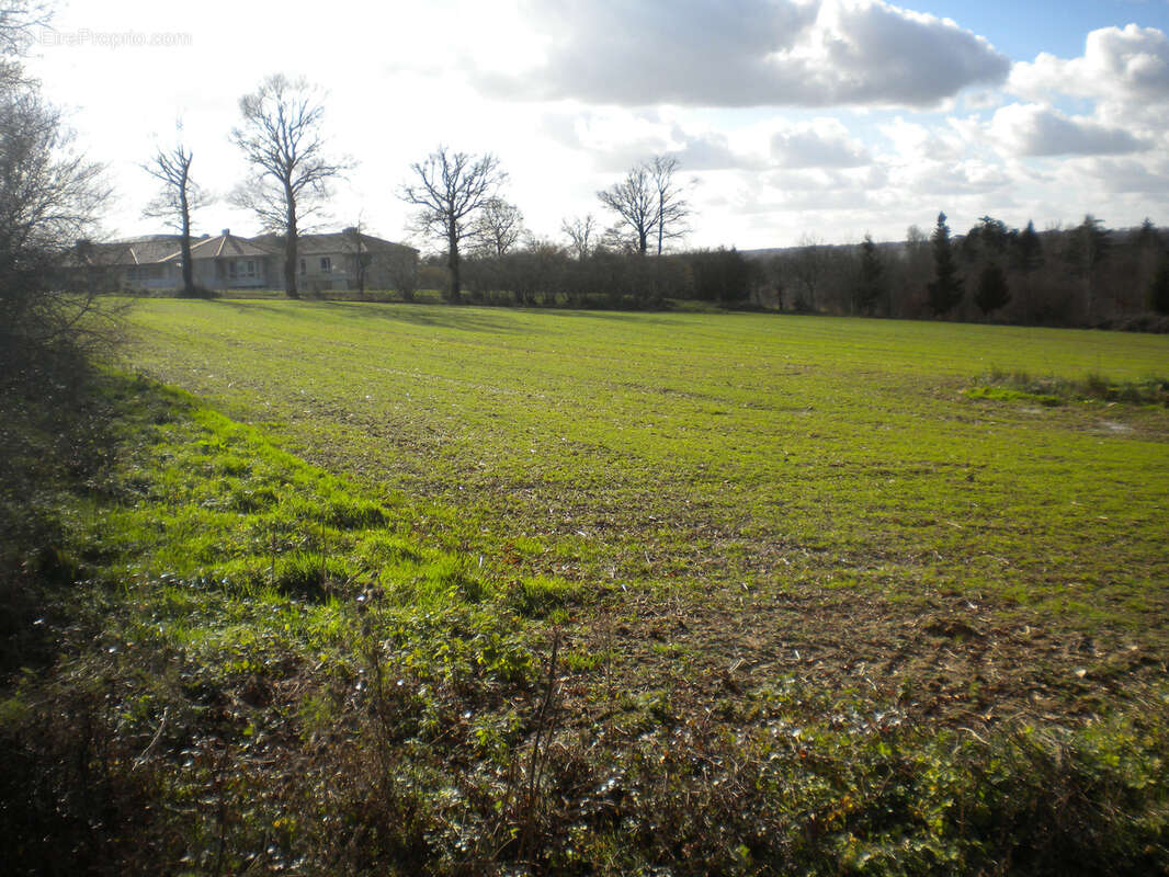 Terrain à CONFOLENS