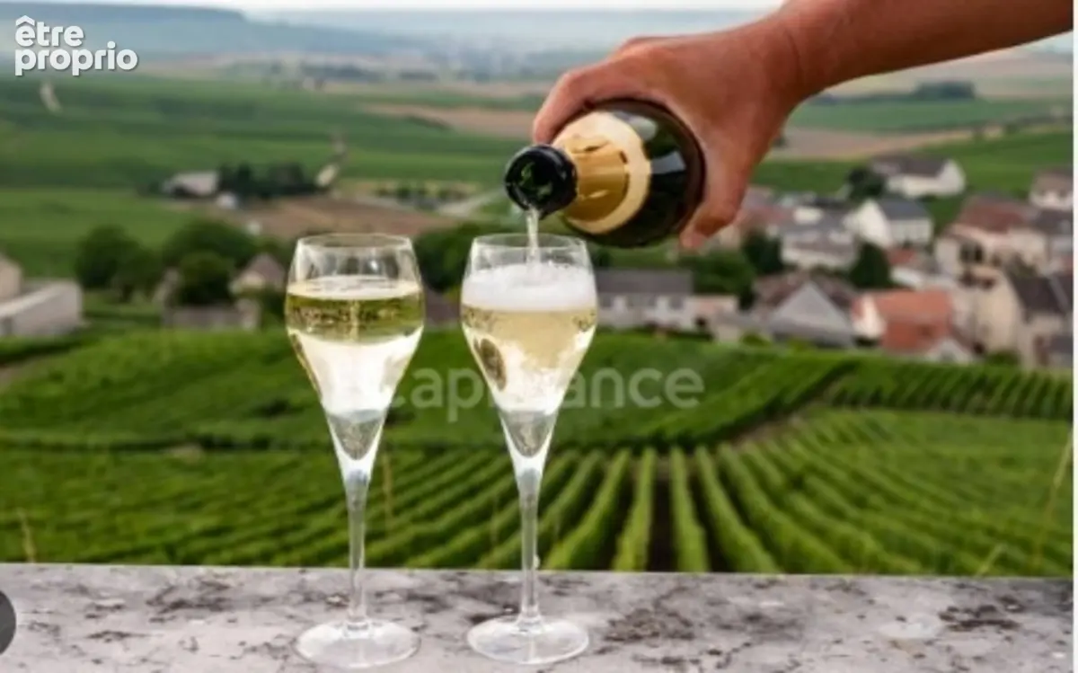 Opportunité Transfrontalière  Ardennes françaises Murs et Fonds Actif hotelier 4 étoiles - photo 6